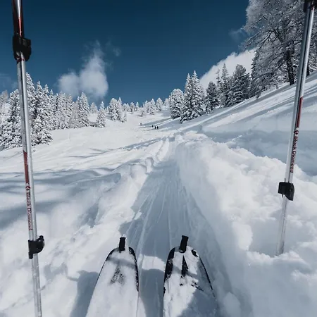 Apartamento Amberg *