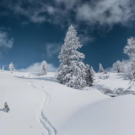 Lägenhet Amberg Mühlbach am Hochkönig