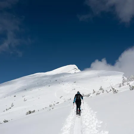 Amberg Apartamento *