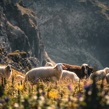 Amberg Apartamento Mühlbach am Hochkönig