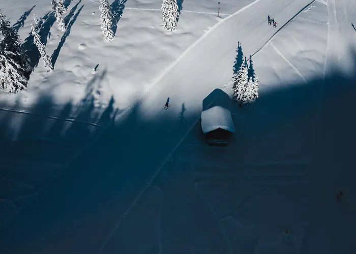 Daire Amberg Mühlbach am Hochkönig