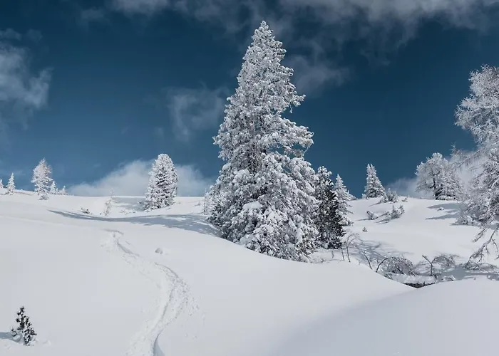 Daire Amberg Mühlbach am Hochkönig