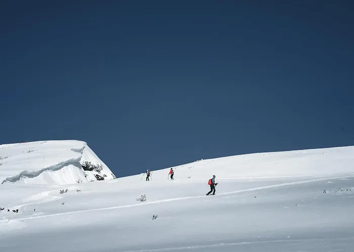 Amberg Mühlbach am Hochkönig
